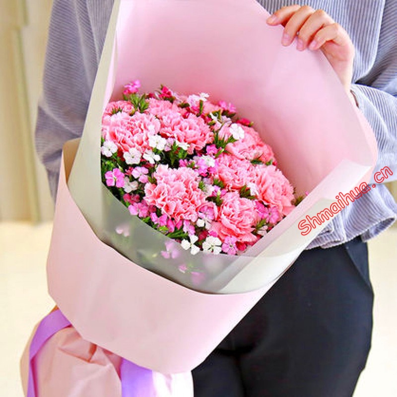 幸福时光-11枝粉色康乃馨，搭配相思梅；